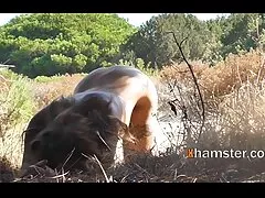 रेडहेड बेसबॉल जयजयकार हिंदी सेक्सी फुल मूवी वीडियो स्नायु ट्रेनर